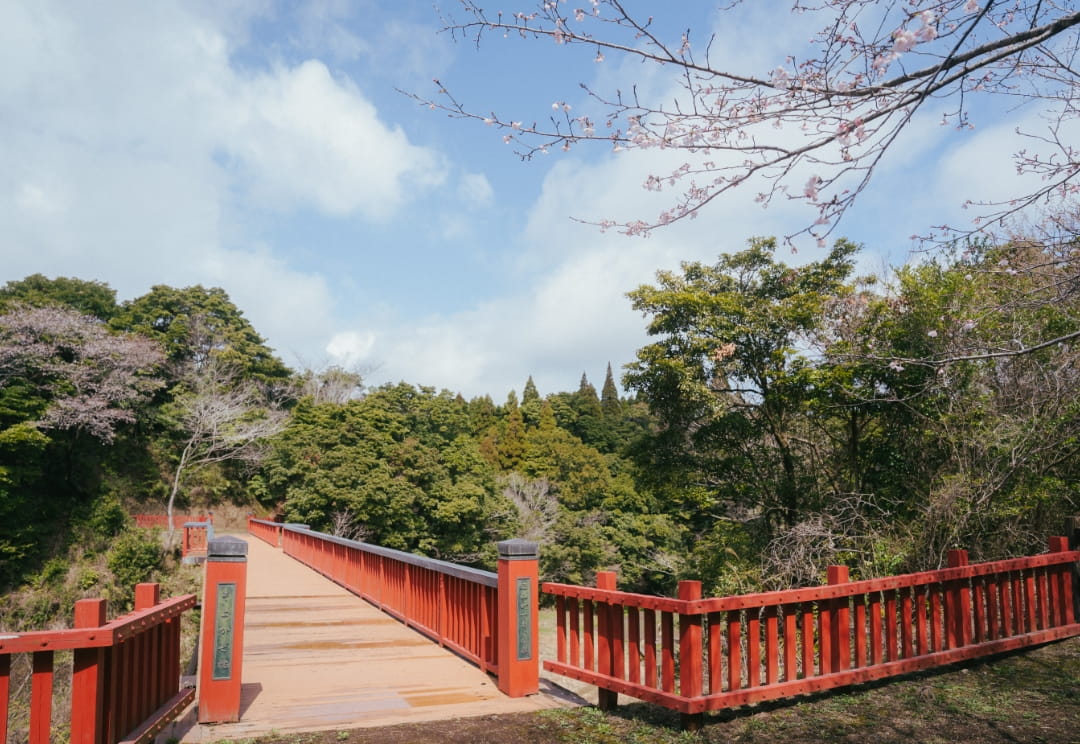 であいの森・森林公園の桜