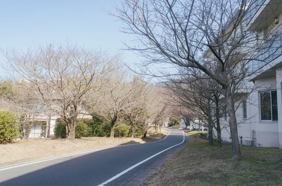 福山病院周辺の桜
