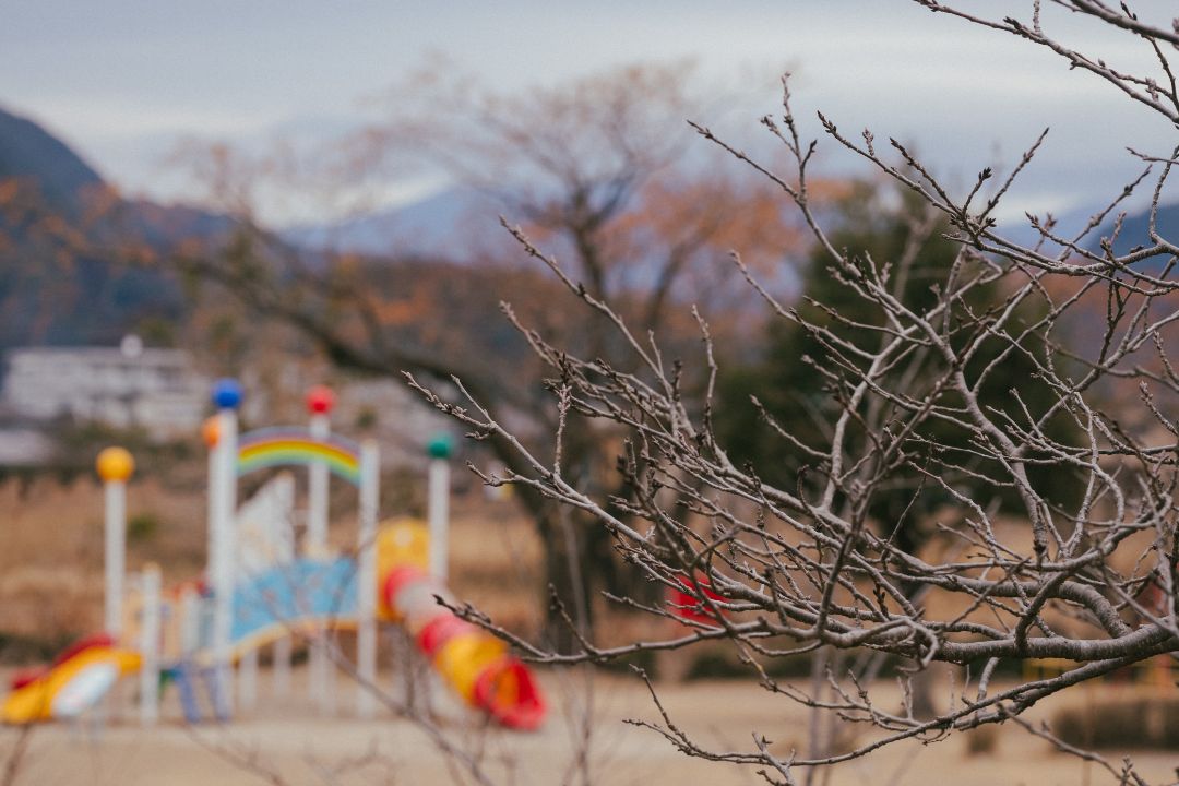 日当山温泉公園の桜