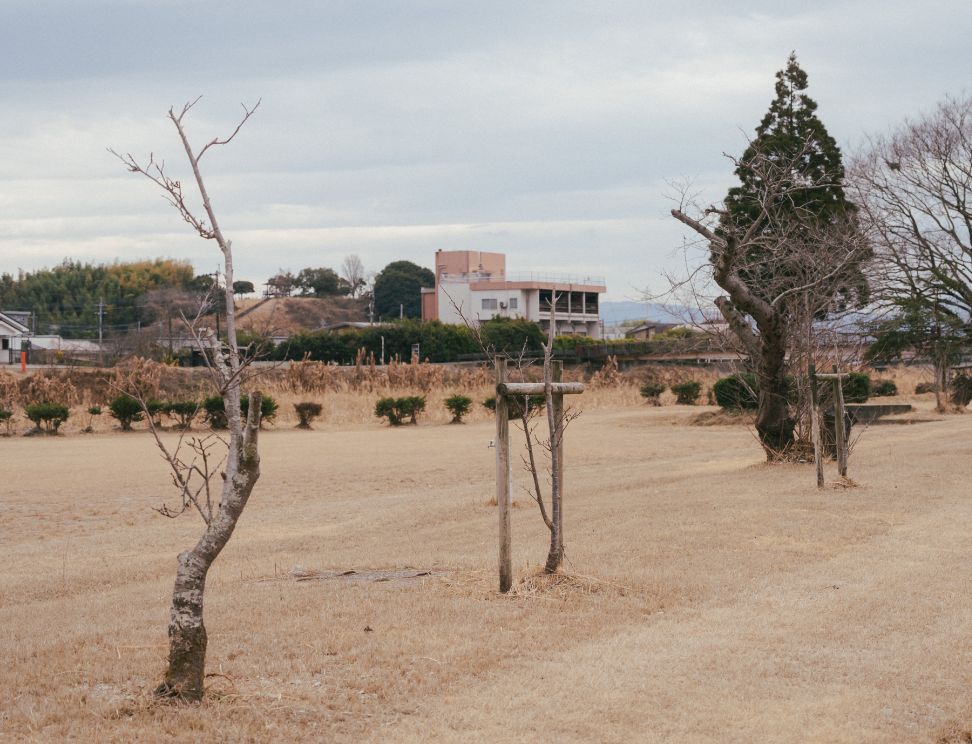 日当山温泉公園の桜