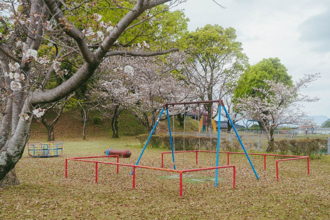稲荷山公園の桜