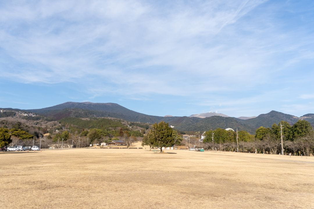 霧島高原国民休養地の桜