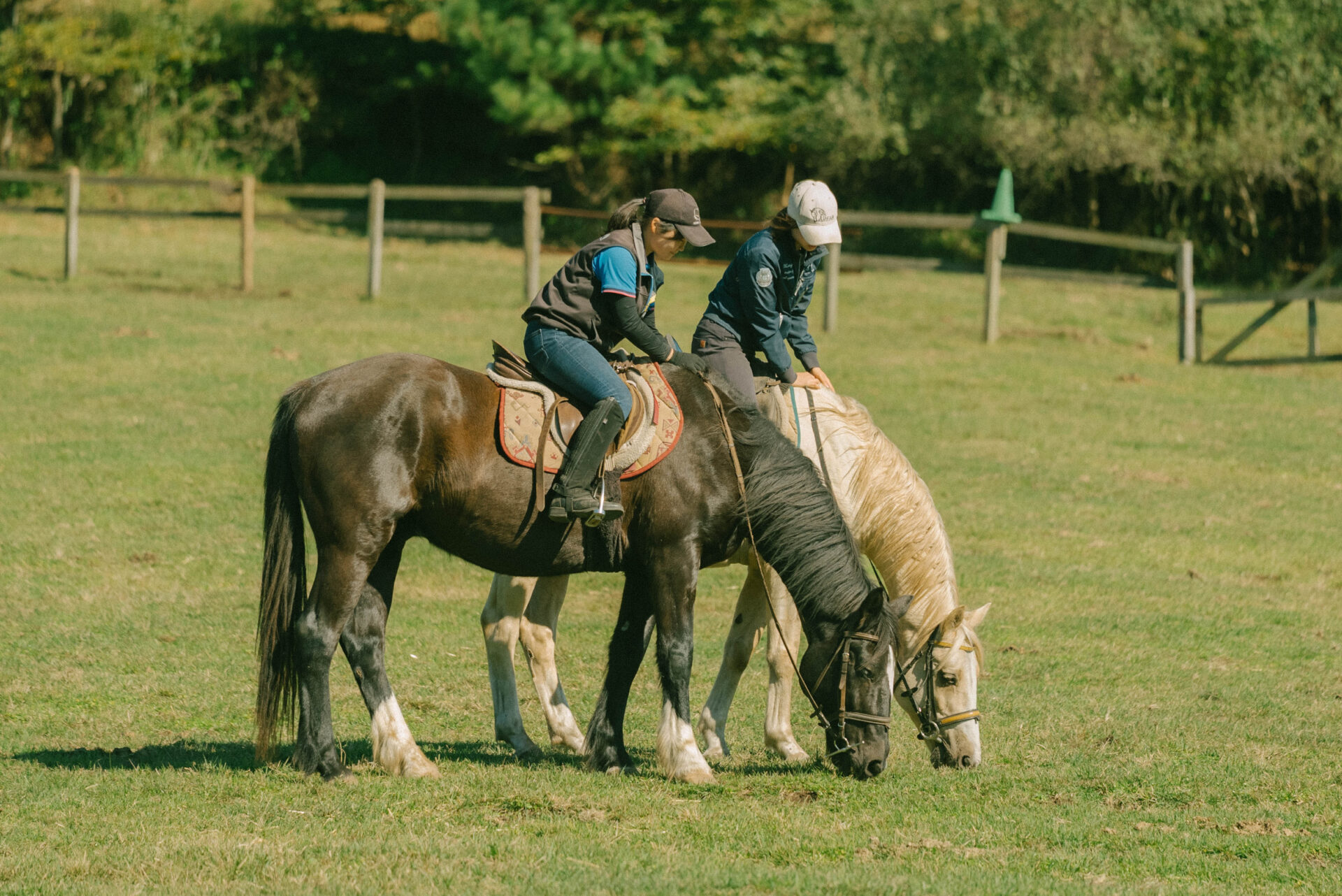 霧島アート牧場