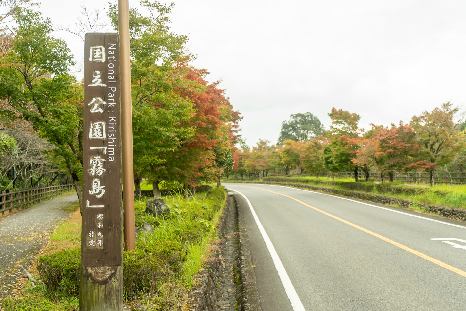 霧島神宮近くの紅葉2