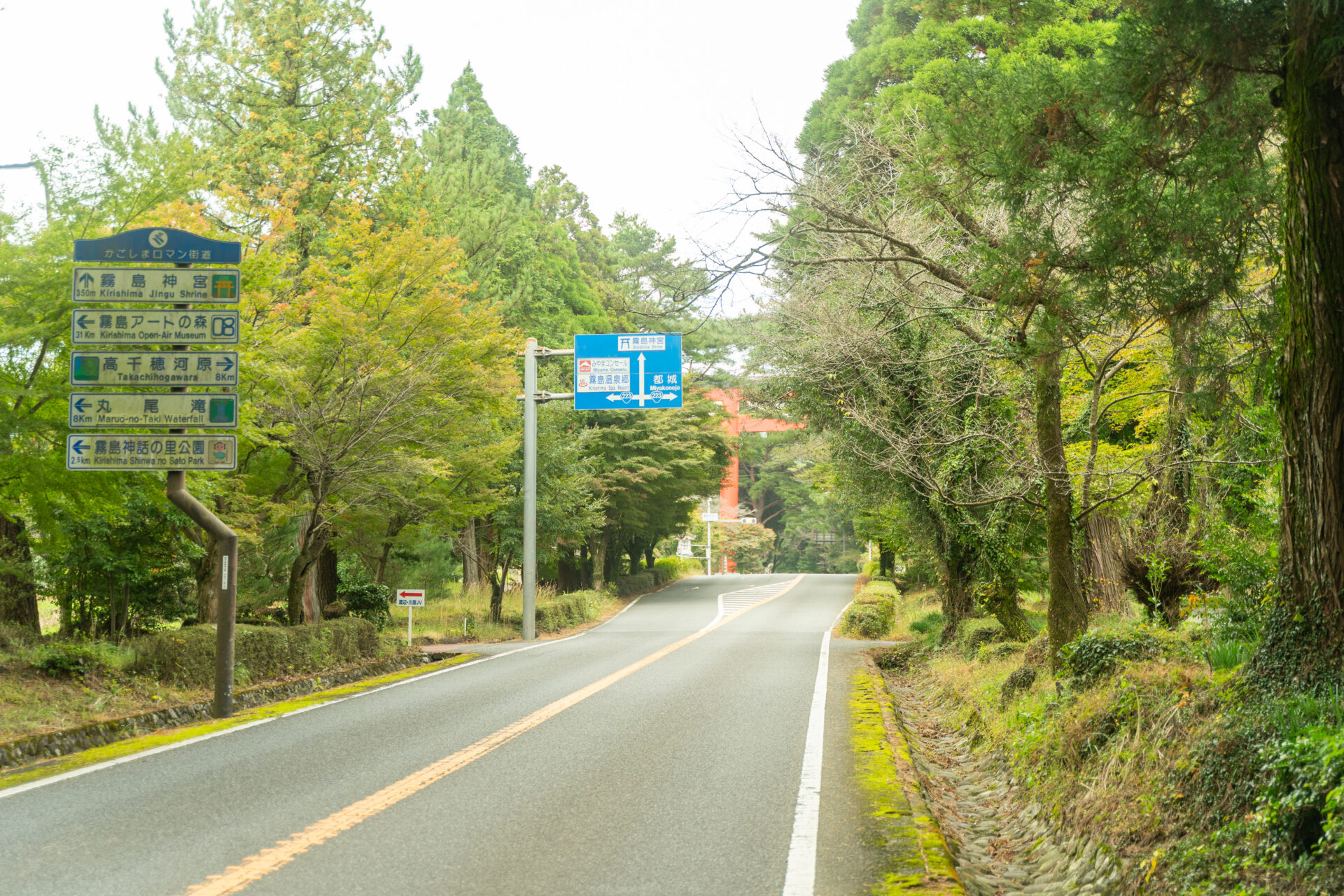 霧島神宮近くの紅葉4