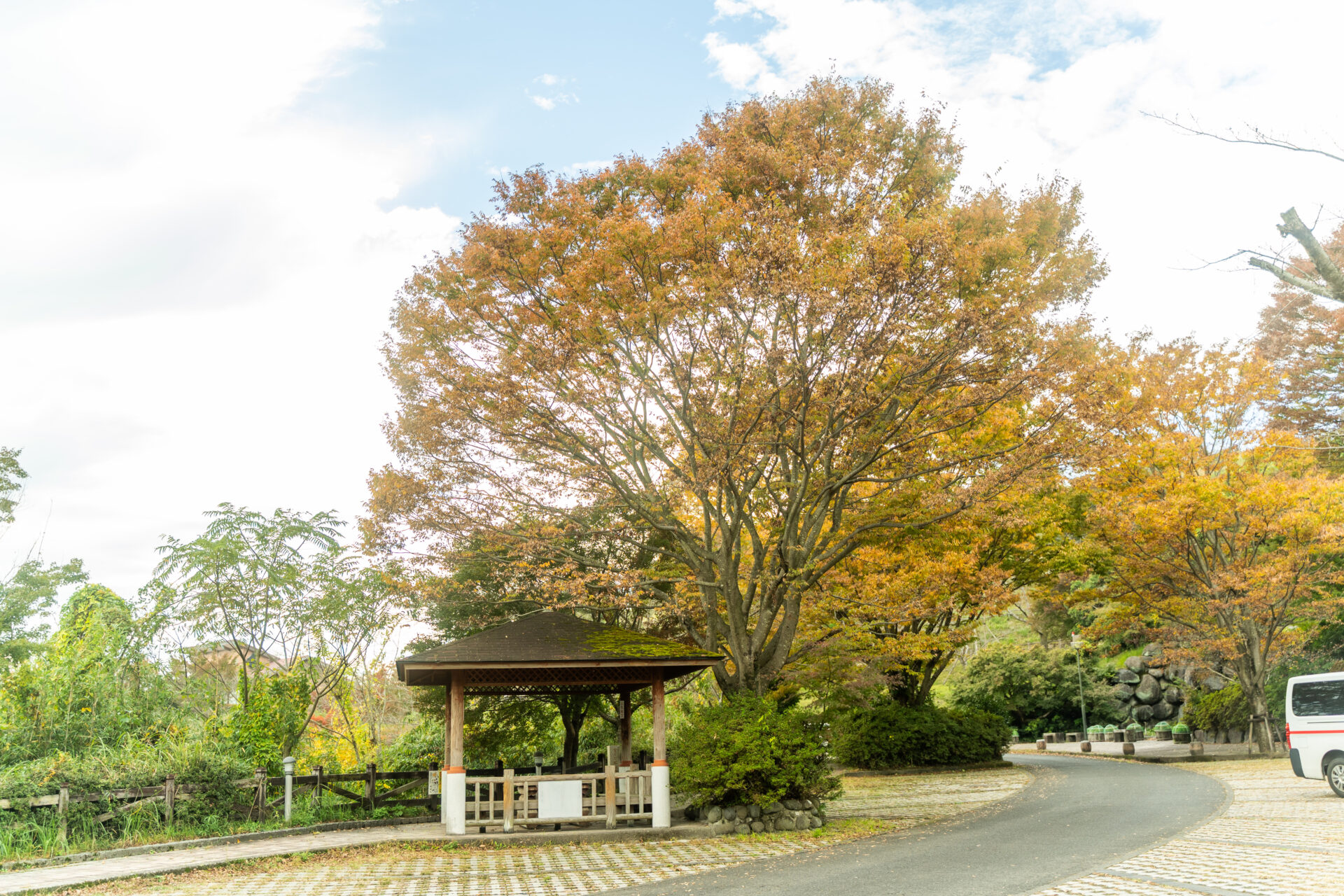 霧島神話の里公園の紅葉2