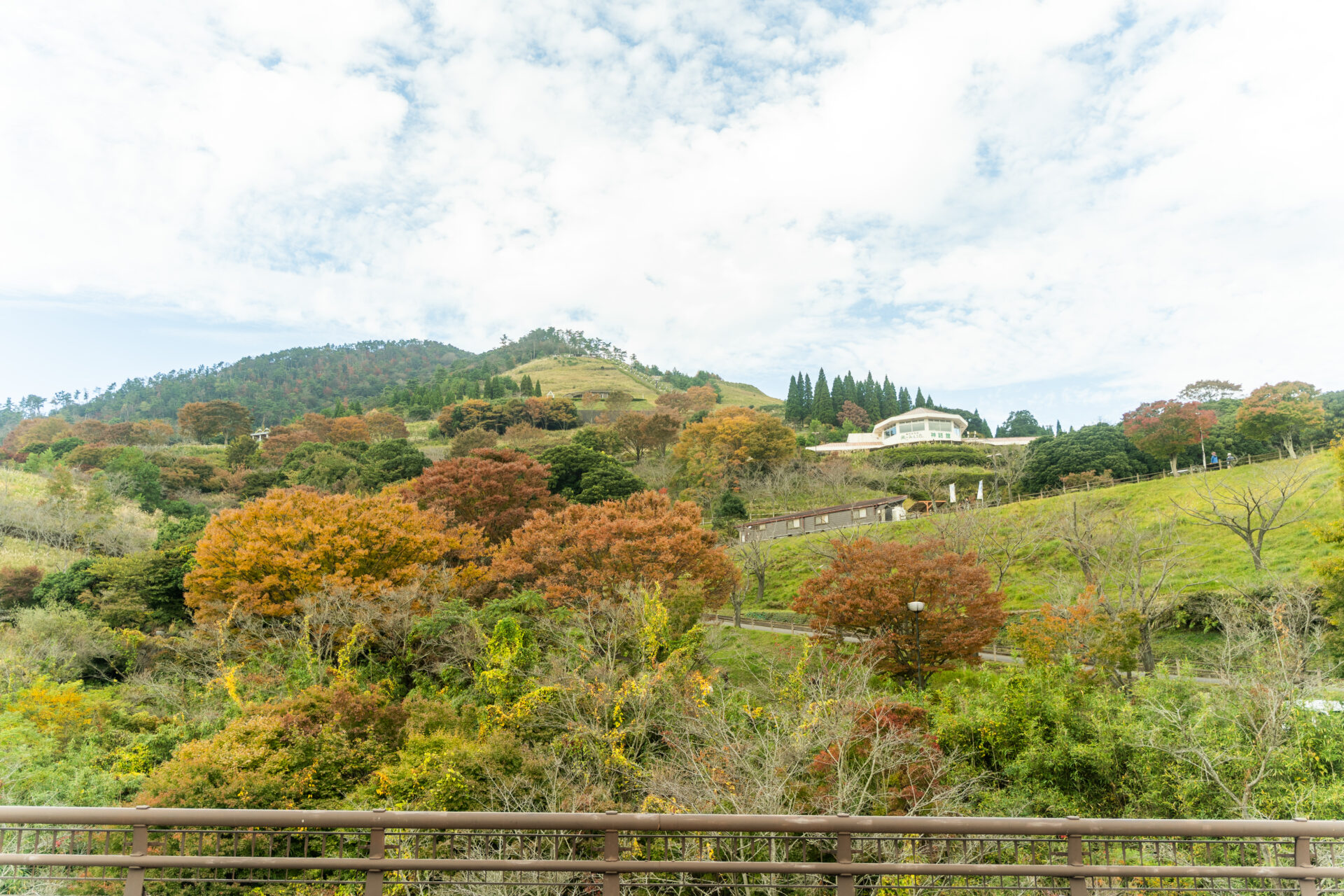 霧島神話の里公園の紅葉1
