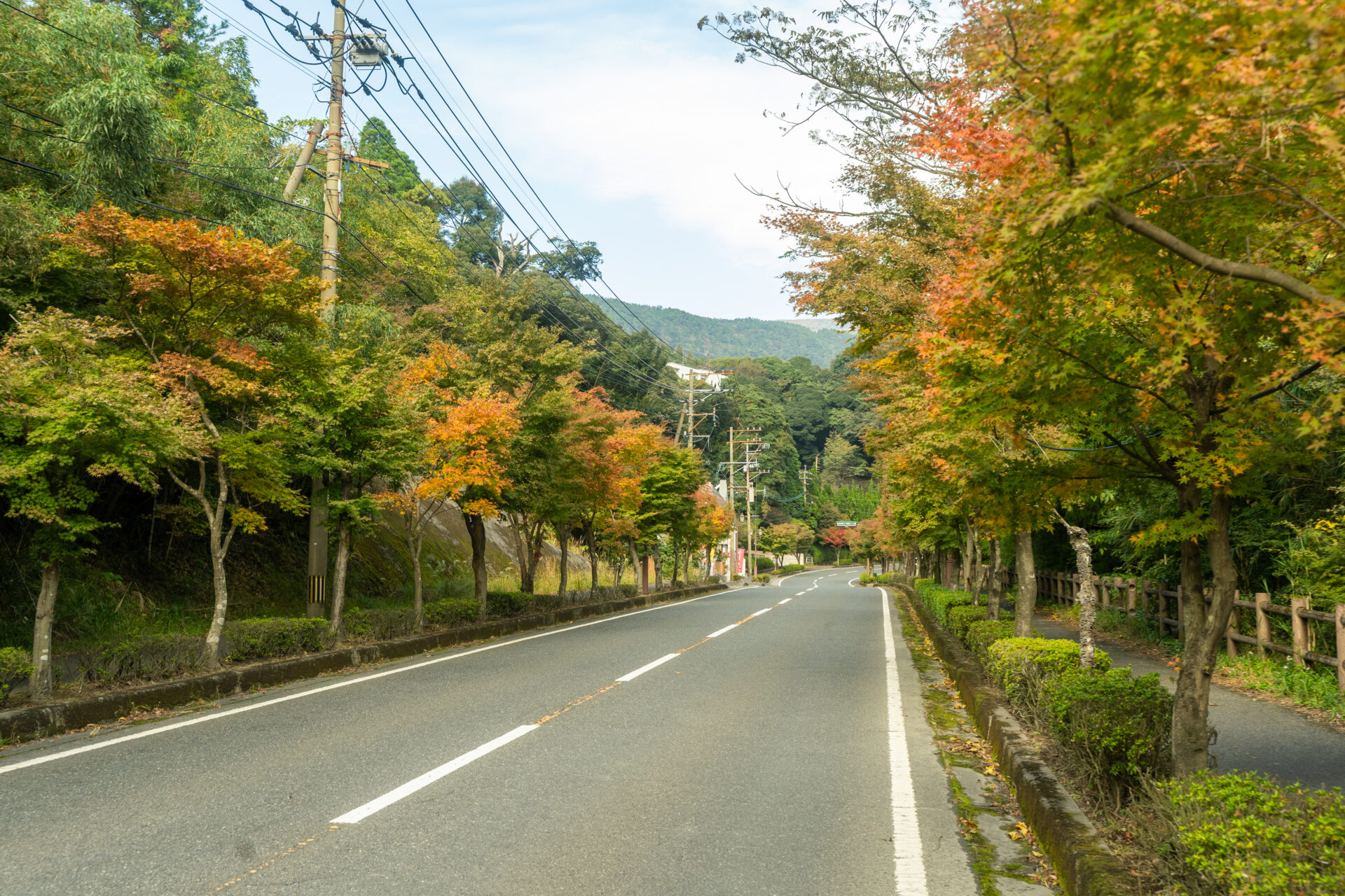 ホテル霧島キャッスル近く