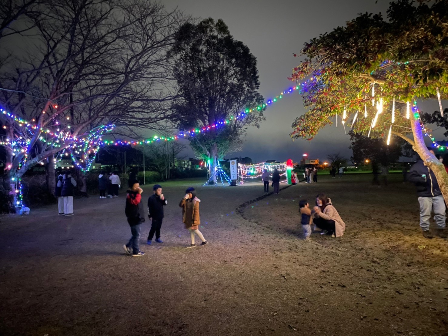 地域の想いが灯る、ひなたやま華たれイルミネーション2025【12/21開催】