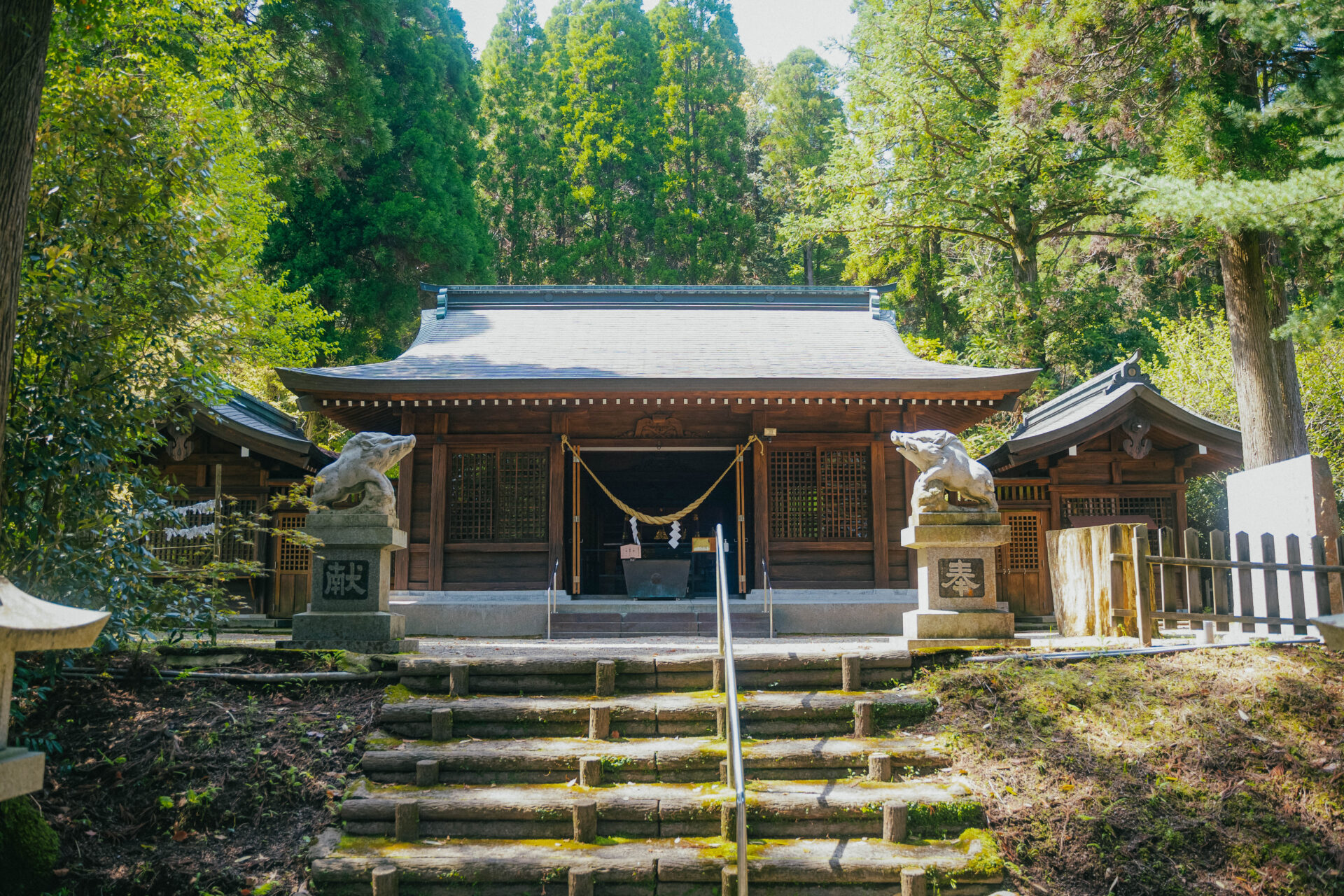 霧島市で合格祈願・学問成就におすすめの神社3選