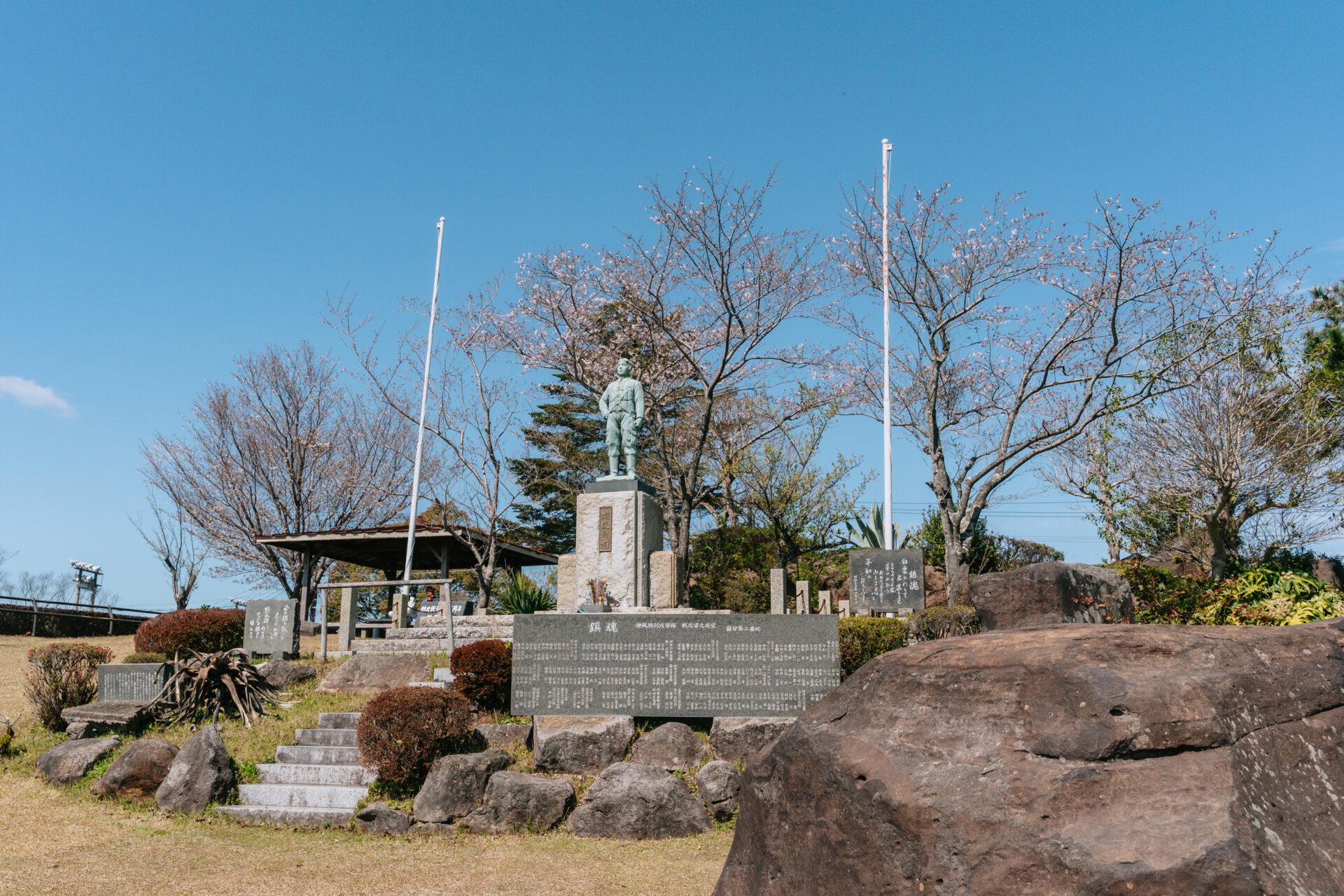 桜の開花状況🌸【溝辺エリア】