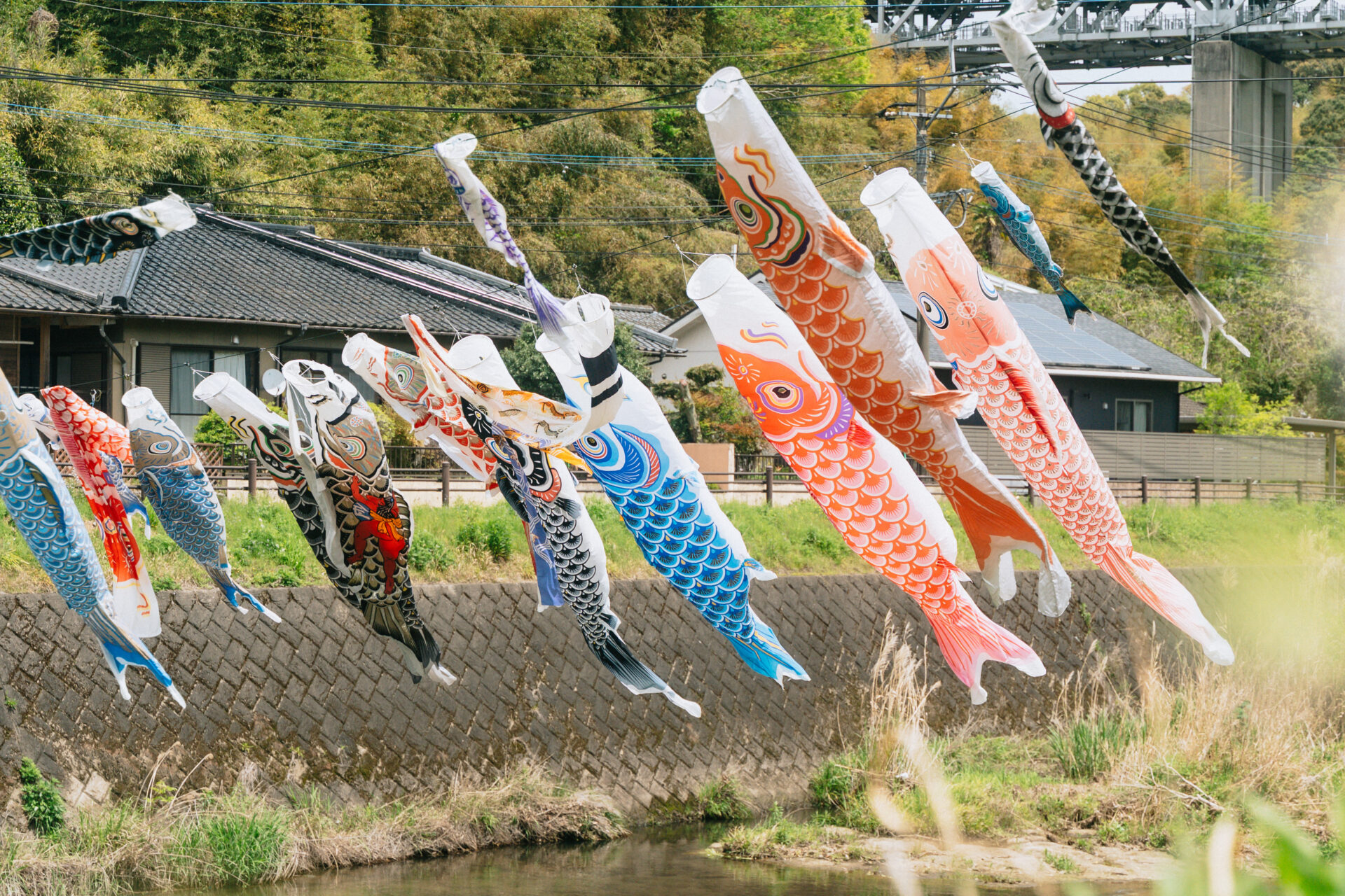 大隅横川駅　鯉のぼり